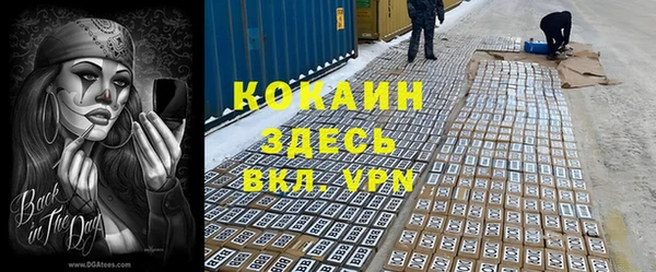 тгк Володарск