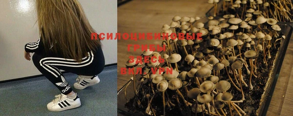 тгк Володарск