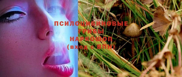 шишки Волоколамск