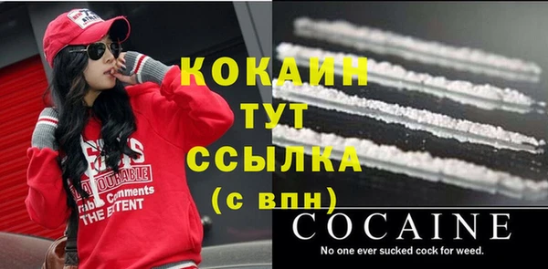 шишки Волоколамск