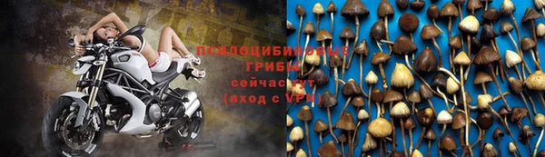 шишки Волоколамск