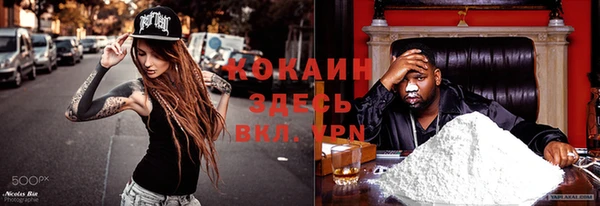 тгк Володарск