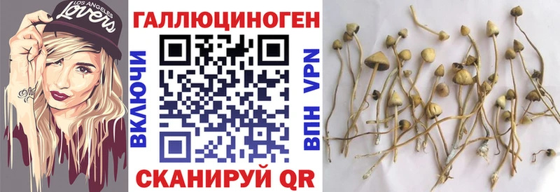 Псилоцибиновые грибы мицелий  Калининск 